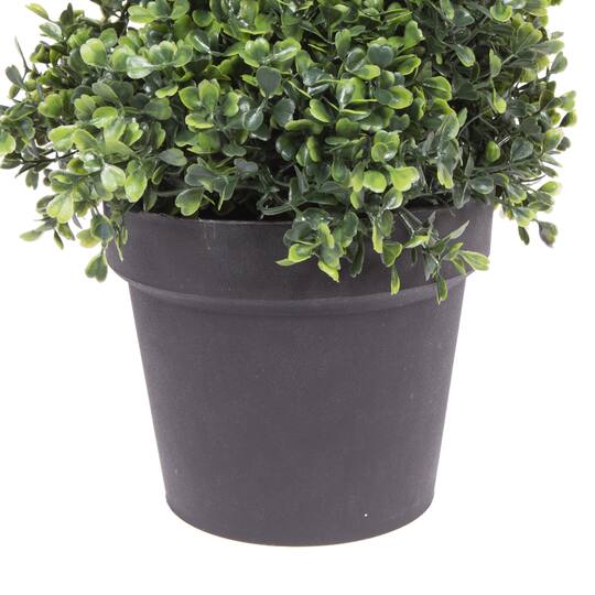 4ft. Potted Green Boxwood Spiral Tree